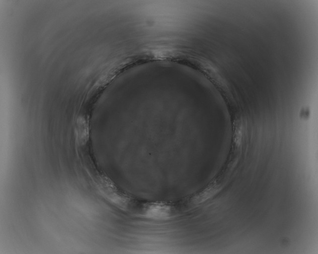 X0000112460471200909071114