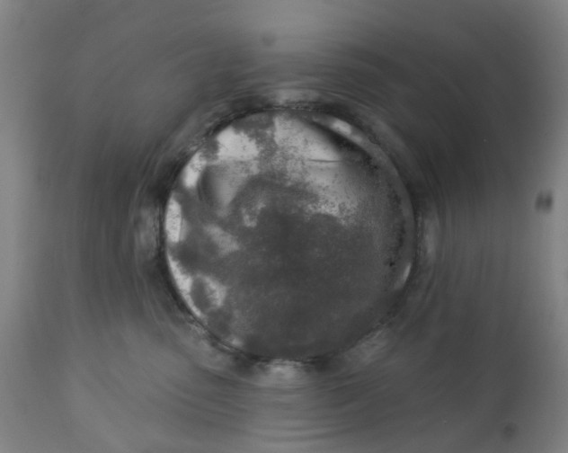 X0000112460475200909071114