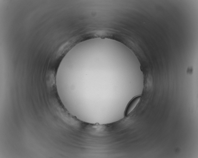 X0000112460478200909071114