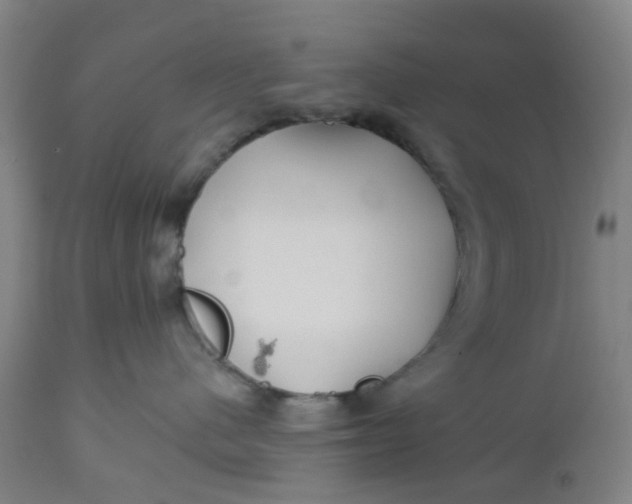 X0000112460480200909071114
