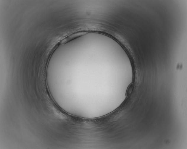 X0000112460481200909071113