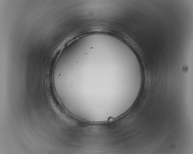 X0000112460482200909071113