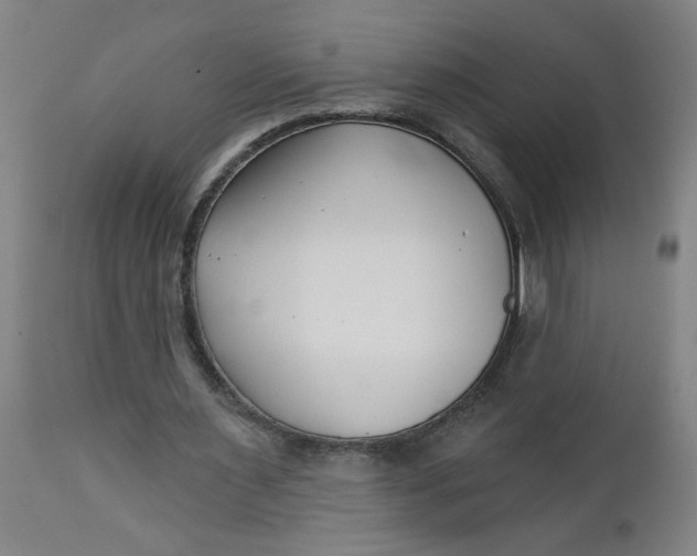 X0000112460483200909071113