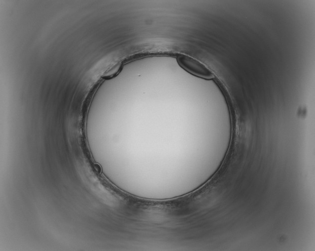 X0000112460485200909071113