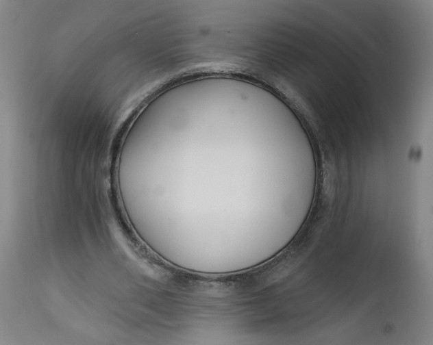 X0000112460486200909071113