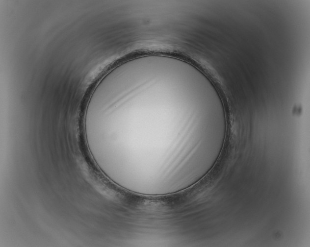 X0000112460487200909071113