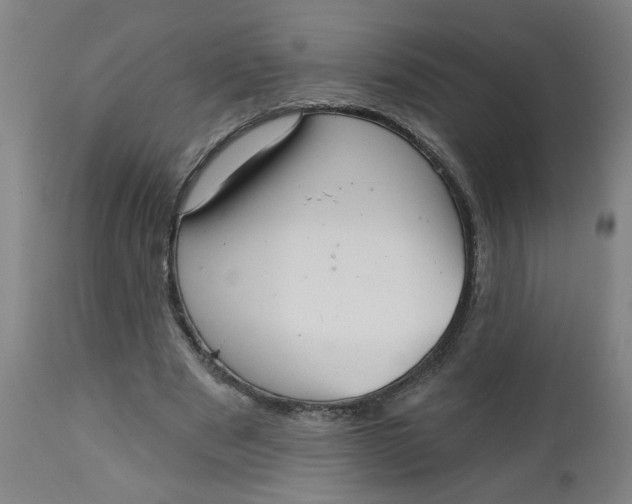 X0000112460489200909071113