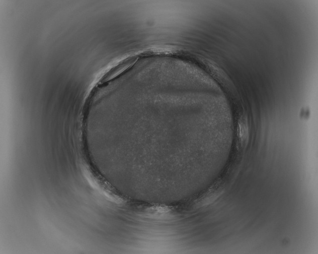 X0000112460492200909071113