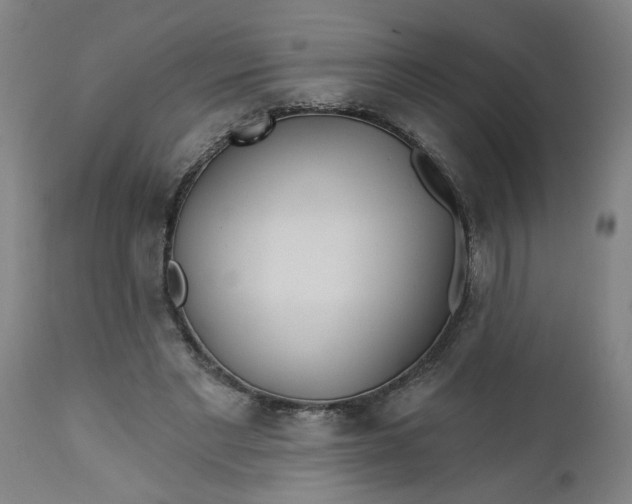 X0000112460493200909071113