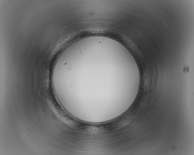 X0000112460494200909071113