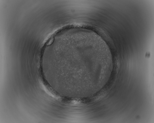 X0000112460496200909071113