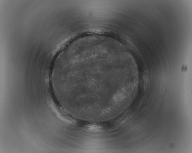 X0000112460500200909071113