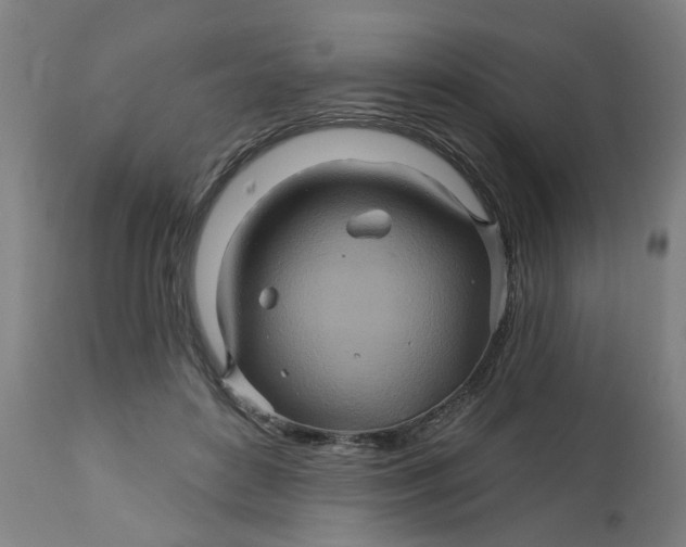 X0000112460504200909071113