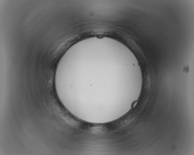 X0000112460505200909071113