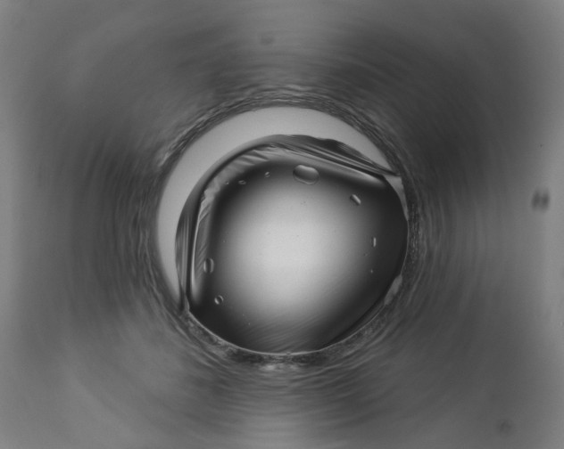 X0000112460508200909071113