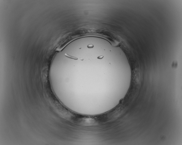X0000112460509200909071113