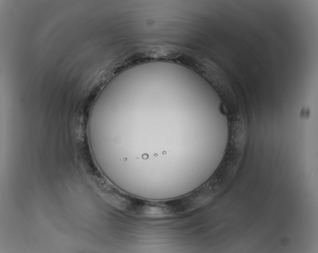 X0000112460510200909071113