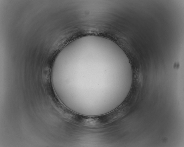 X0000112460511200909071113