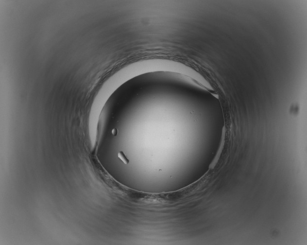 X0000112460512200909071113