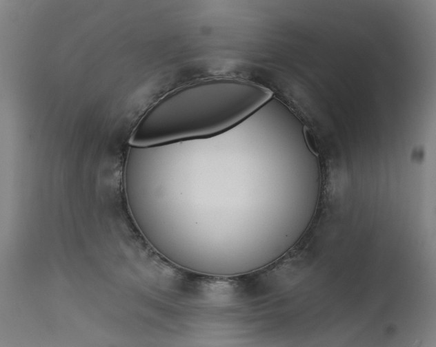 X0000112460513200909071113