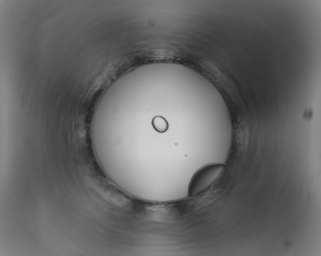 X0000112460516200909071113