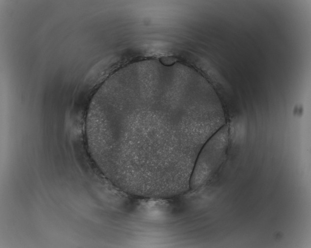 X0000112460517200909071112