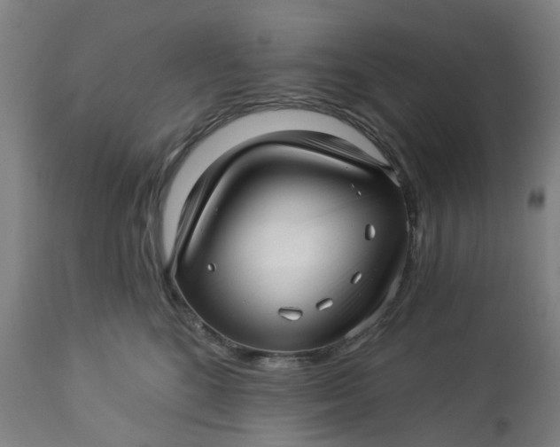 X0000112460520200909071112