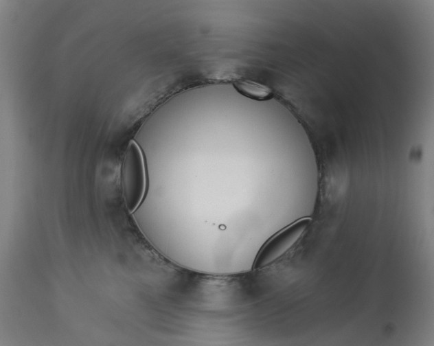 X0000112460521200909071112