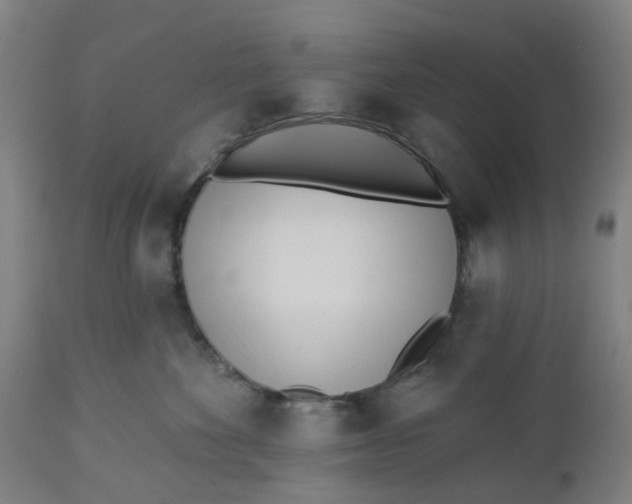 X0000112460524200909071112