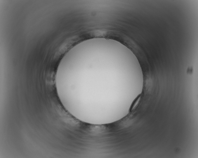 X0000112460525200909071112