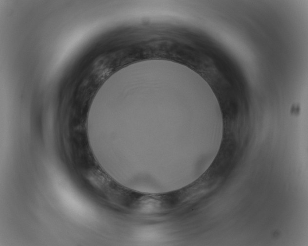 X0000112460526200909071112