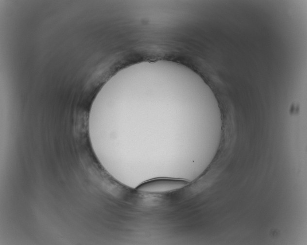 X0000112460528200909071112