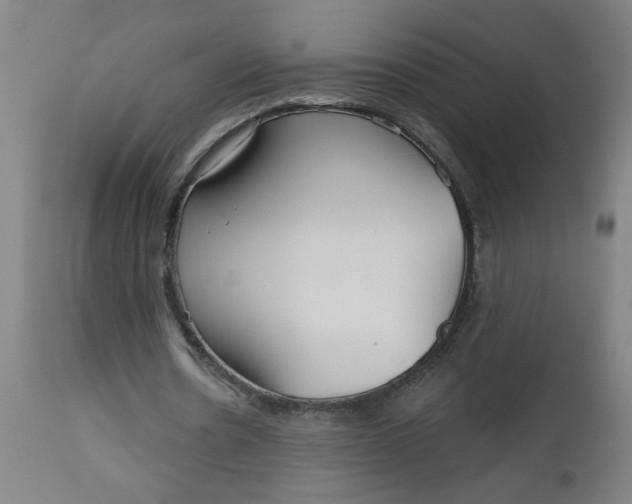 X0000112460530200909071112