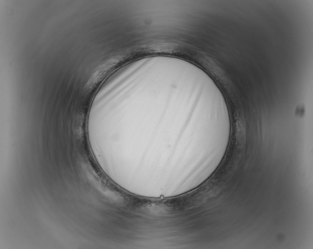 X0000112460537200909071112