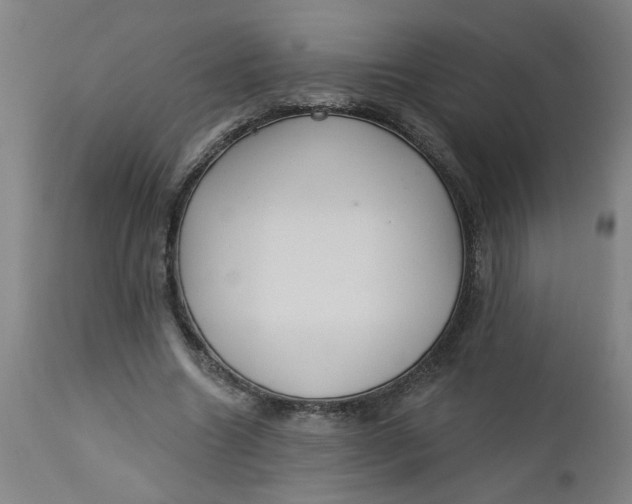 X0000112460538200909071112