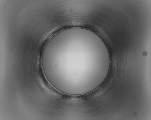 X0000112460542200909071112