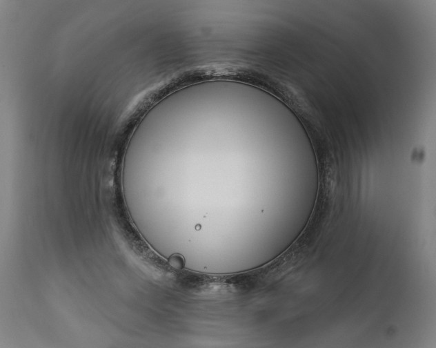 X0000112460543200909071112