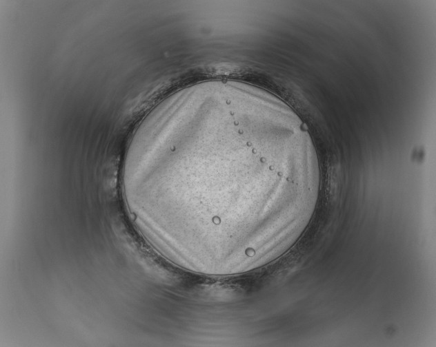 X0000112460545200909071112