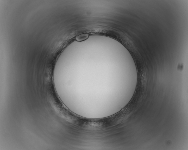 X0000112460546200909071112