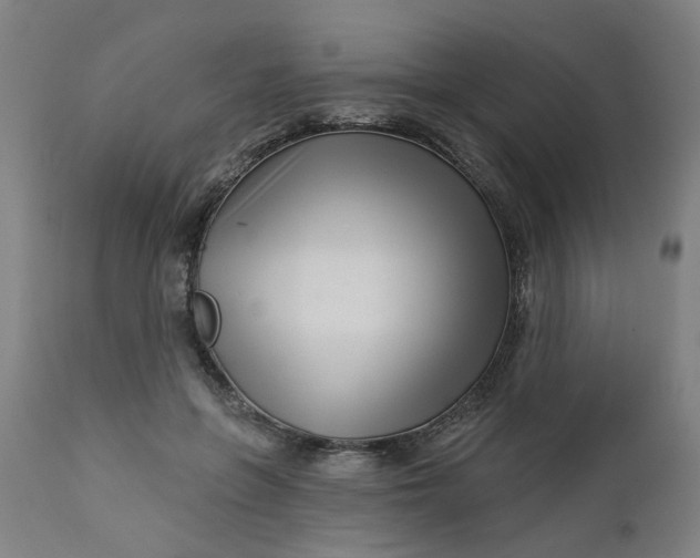 X0000112460551200909071112