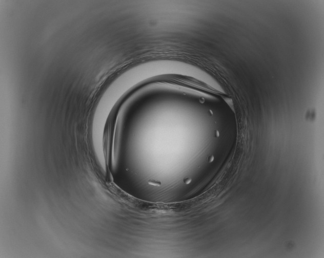 X0000112460552200909071112