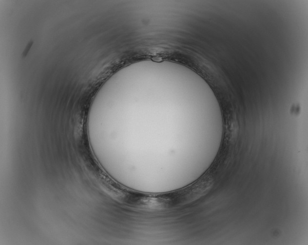 X0000112460558200909071112