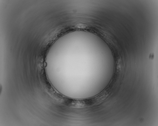 X0000112460559200909071112