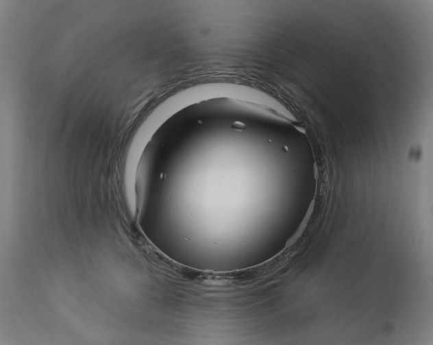 X0000112460560200909071112