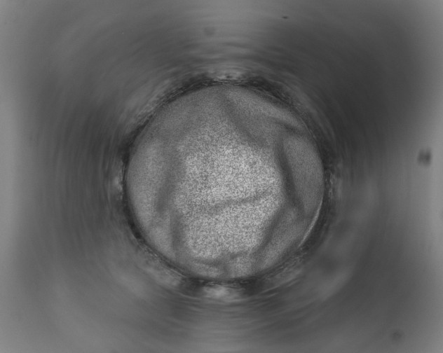 X0000112460561200909071112