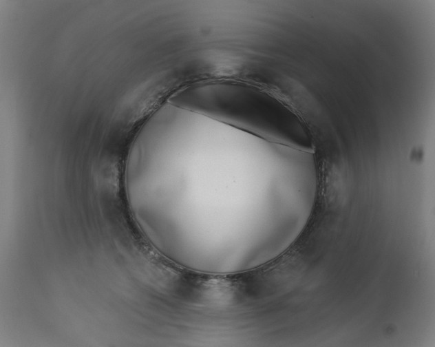 X0000112460562200909071112