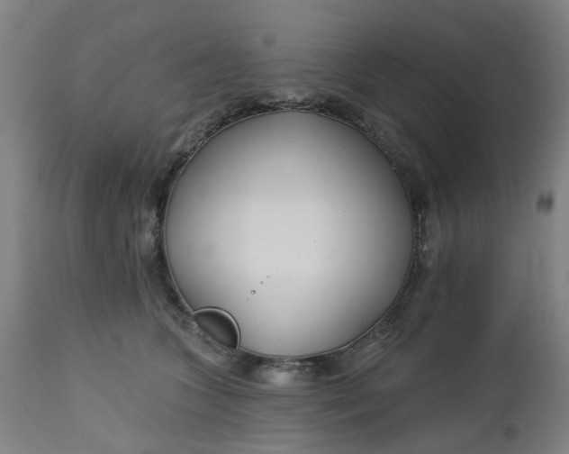 X0000112460563200909071112