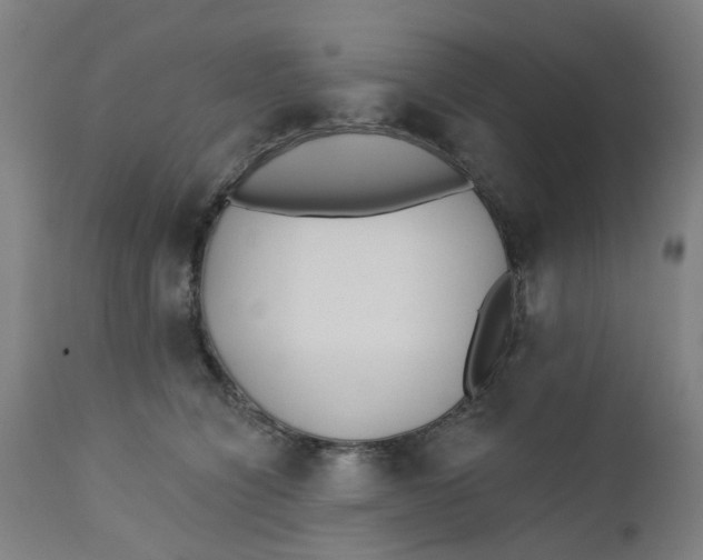 X0000112460564200909071112