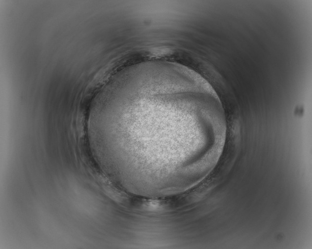 X0000112460565200909071112