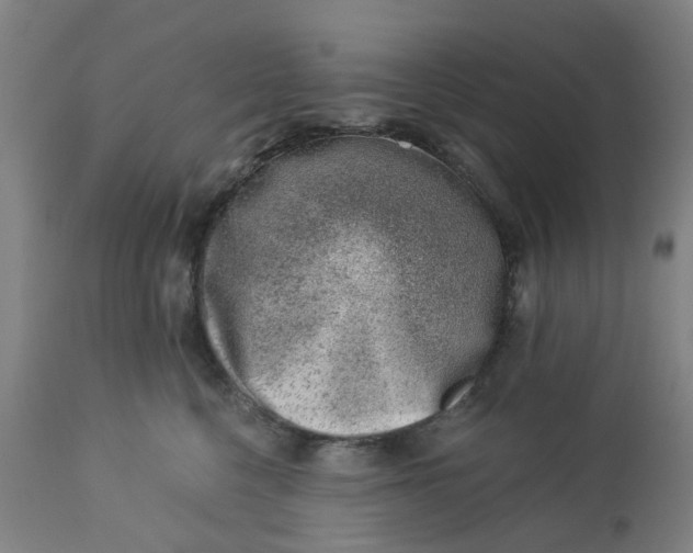 X0000112460568200909071112